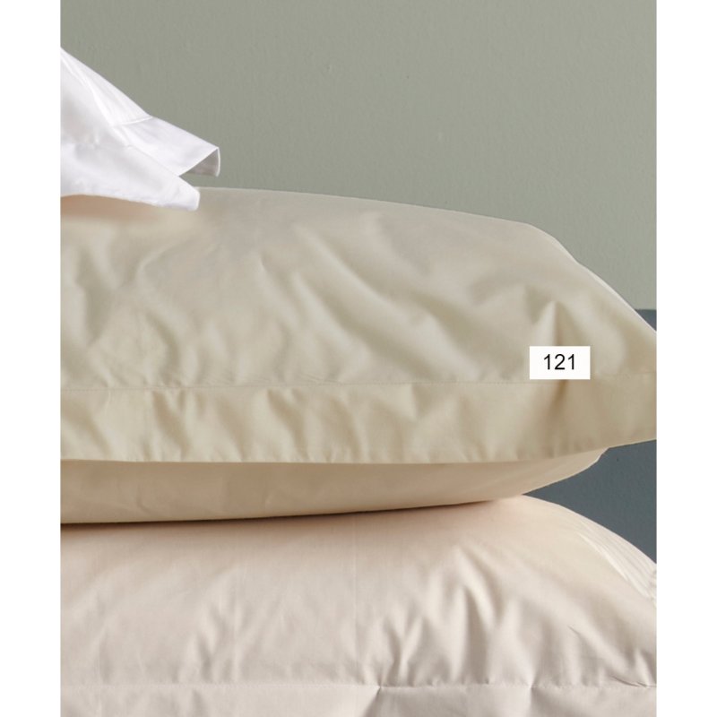 KENTIA True Col 121 Σεντόνι Υπέρδιπλο Μεμονωμένο Ecru 240 χ 270 0019876 KENTIA True Col 121 Σεντόνι Υπέρδιπλο Μεμονωμένο Ecru 240 χ 270 0019876