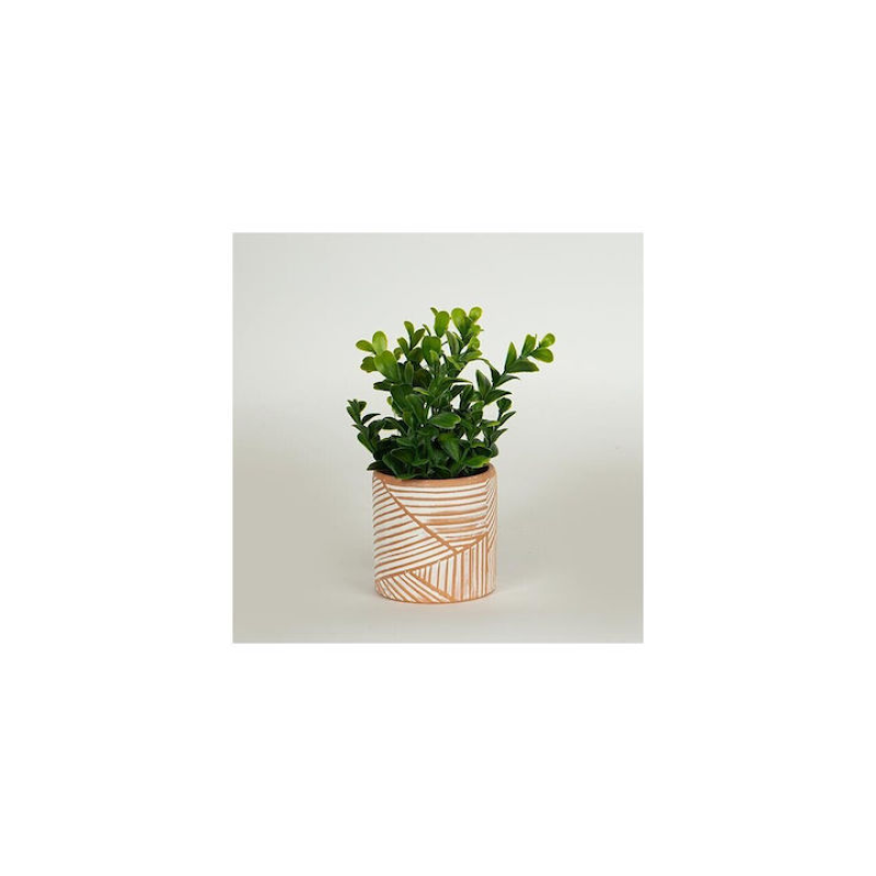 ESTHETI 758-14022 Τεχνητό Φυτό σε Γλαστράκι 18cm 0040994 ESTHETI 758-14022 Τεχνητό Φυτό σε Γλαστράκι 18cm 0040994