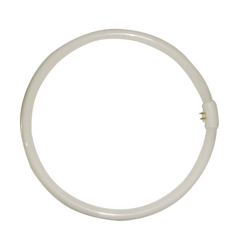 EUROLAMP 147-88636 32W/865 T9 Λαμπτήρας Κυκλικός Φθορίου 0009755 EUROLAMP 147-88636 32W/865 T9 Λαμπτήρας Κυκλικός Φθορίου 0009755